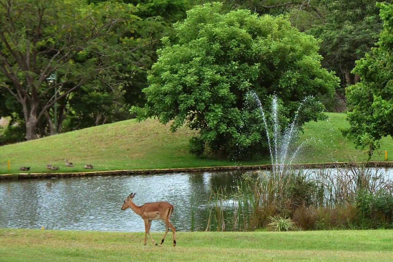 Kruger Park Lodge Unit No. 524 헤이지뷰 외부 사진